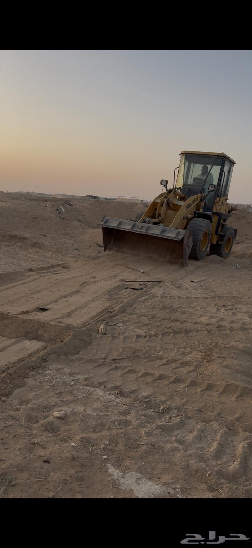 شيول صيني64616382158339114