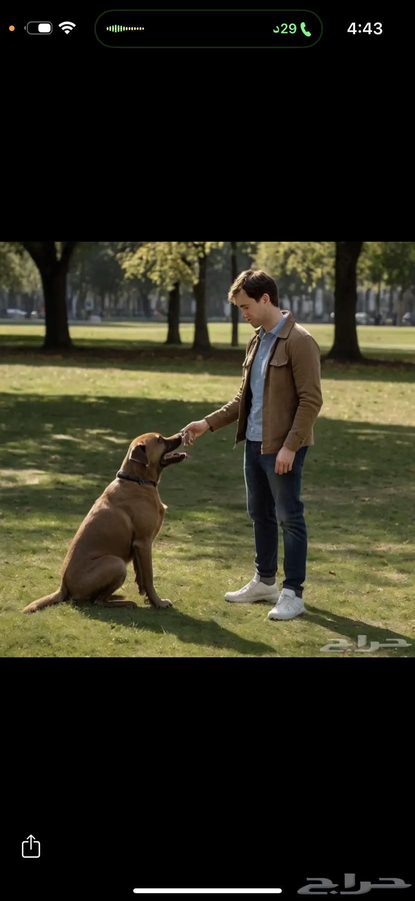 كلاب تدريب64270511166722110