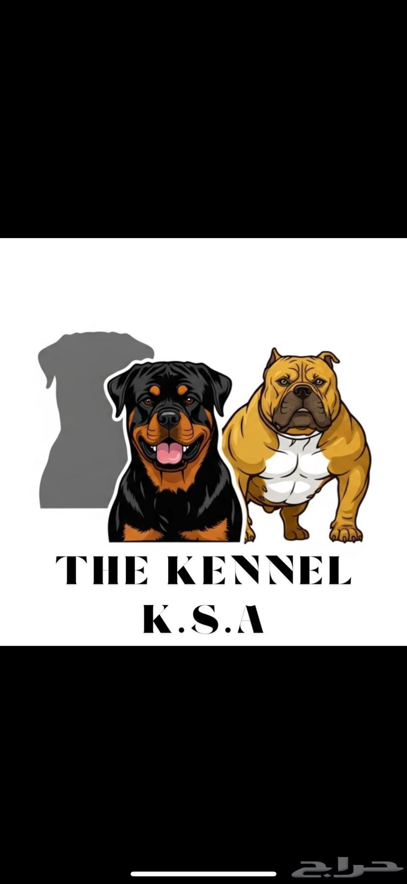 كلاب تدريب64270511166722111