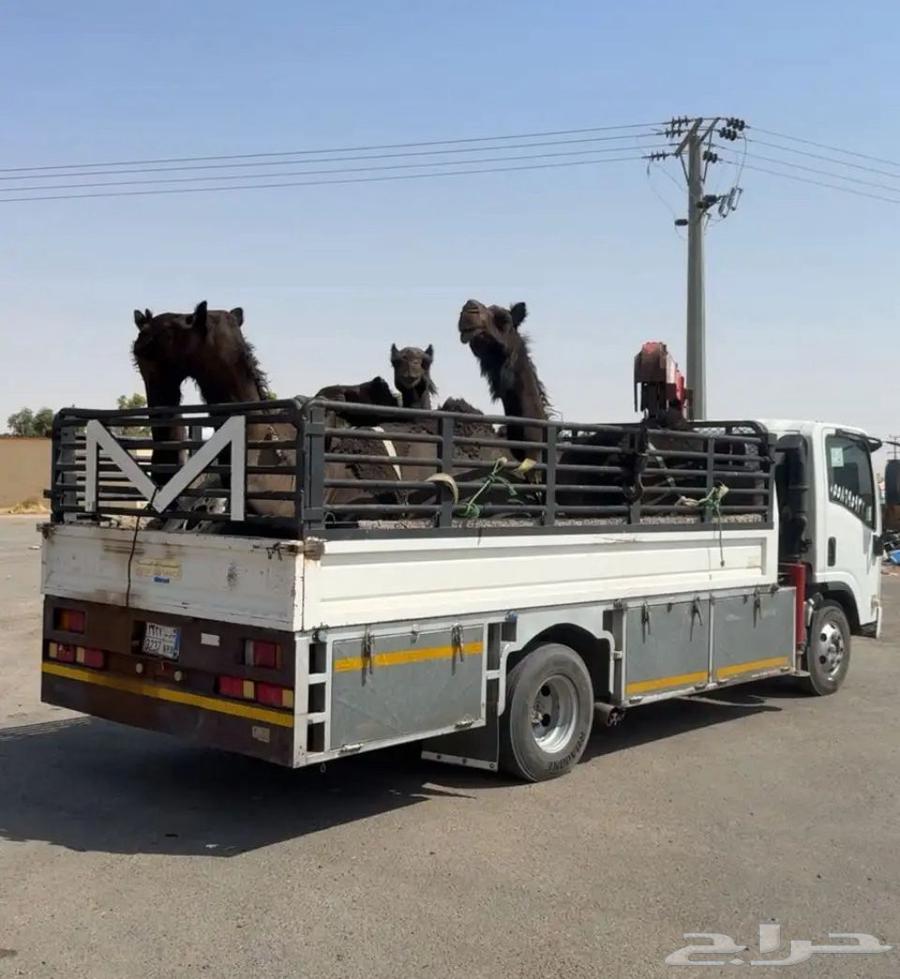 دنة أبل يوجد سبت مبطنه64288439843203111