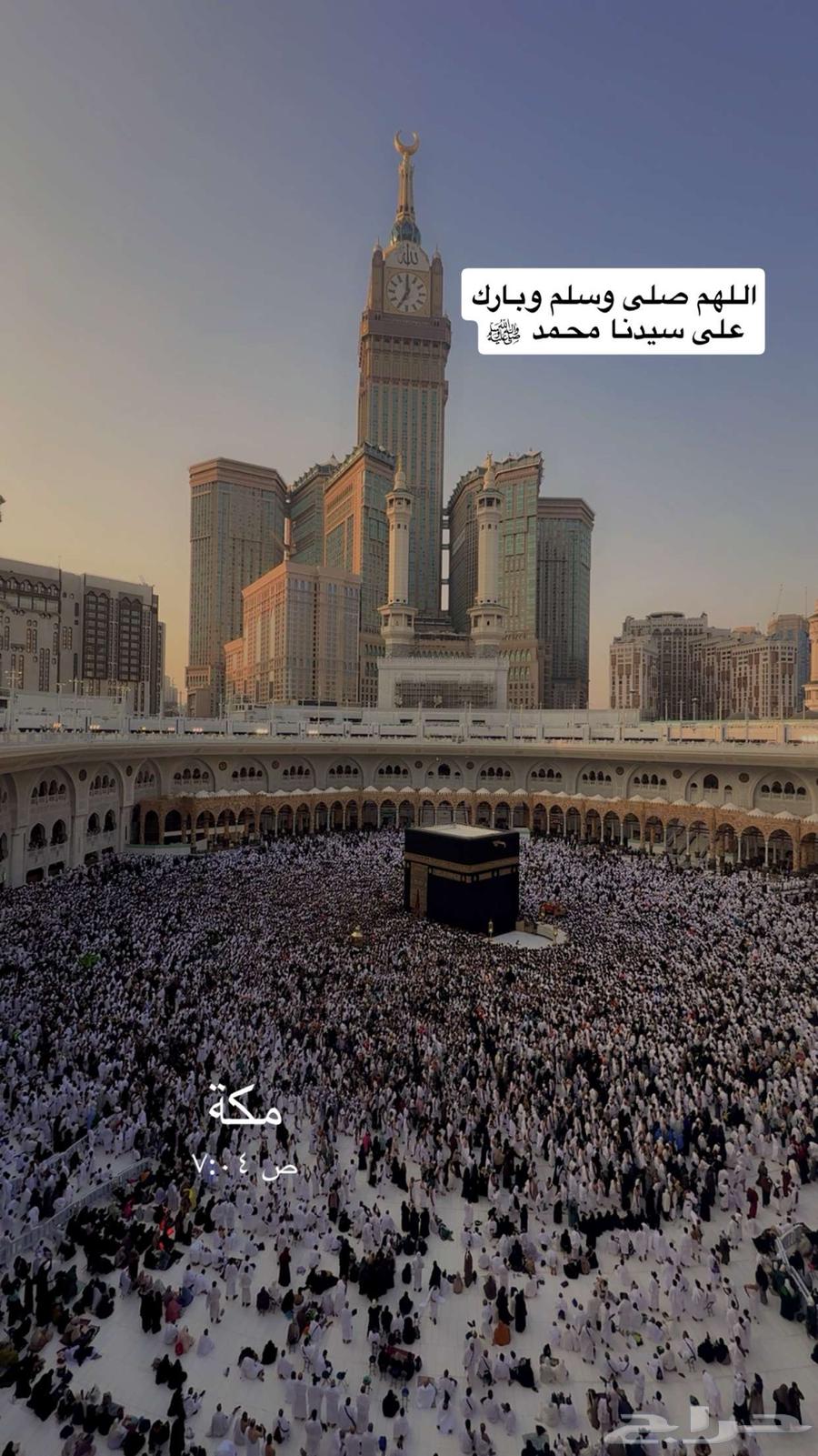 مطلوب شقة العوالي أو بطحاء قريش64295571441026110