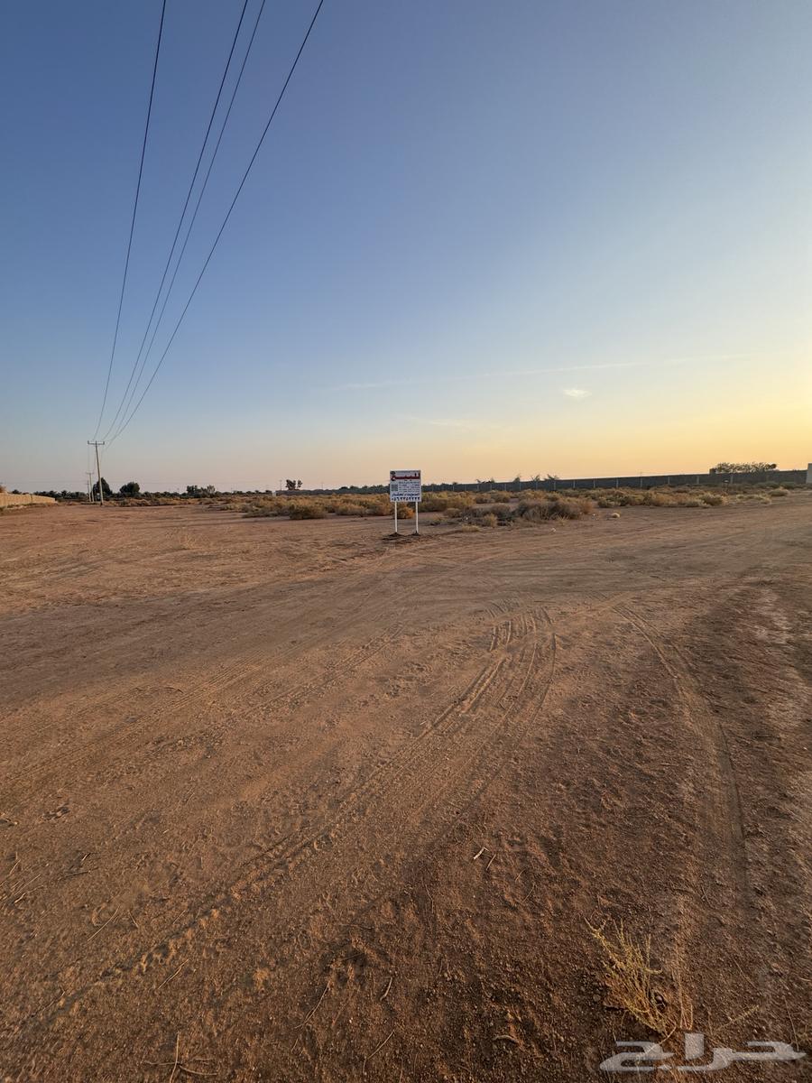 للبيع ارض بصك زراعي بحقروصين64295571378306111