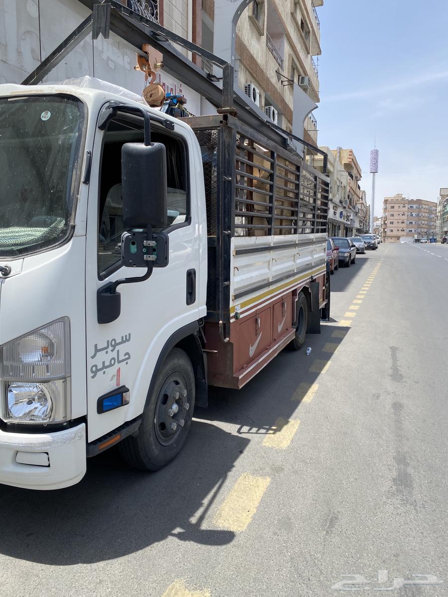 دينا صندوق  لنقل الابل والحلال داخل الطايف وخا64295747079553110