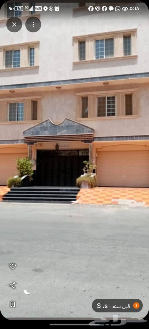 شقة للإيجار