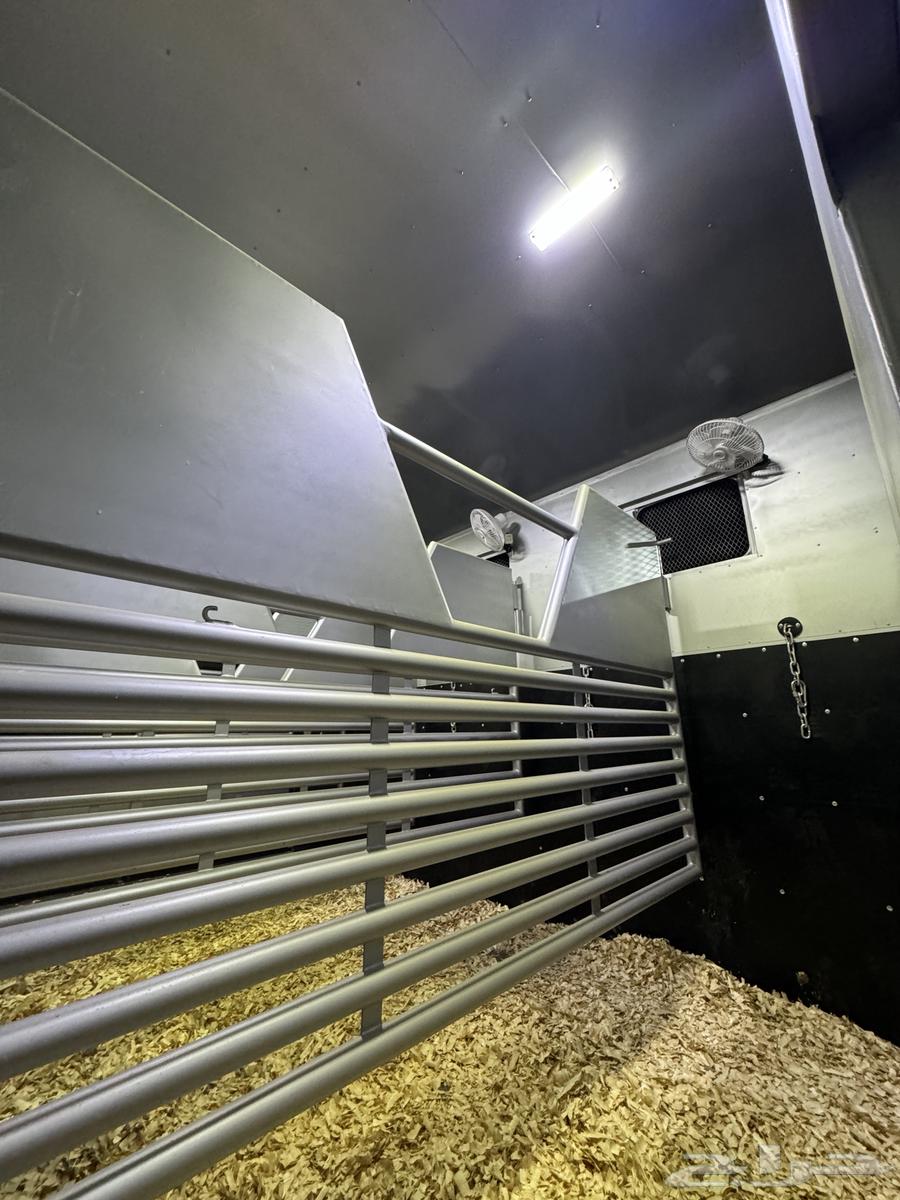 عربة نقل خيل64305060339458113