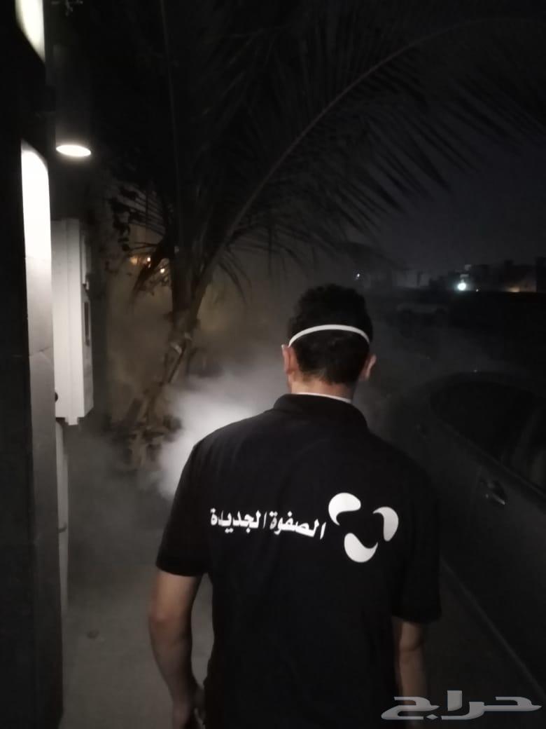 Pest Control Company for Cockroaches, Bed Bugs, Ants, and Rats64305075805058112