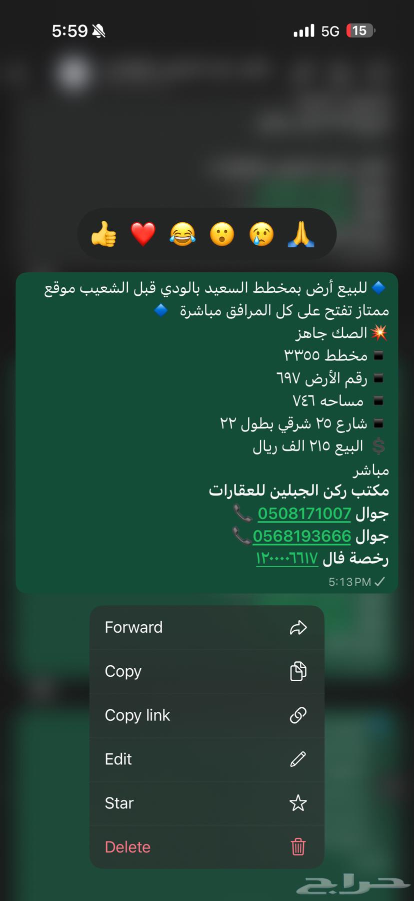 للبيع ارض السعيد 215 المواصفات بالصوره64313986729089110