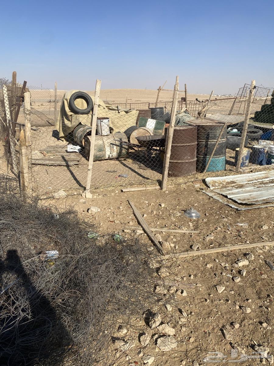 للبيع شبوك وحديد و مربيع64314191784321111