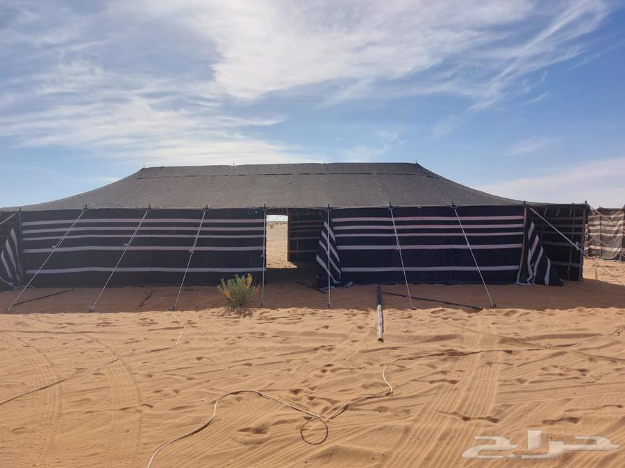 تجهيز مخيمات وبيوت شعر وخيام64327172977665110
