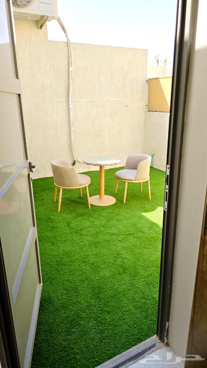 غرفة للإيجار