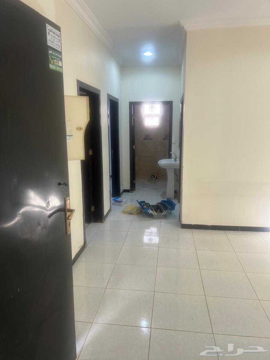 شقة للإيجار