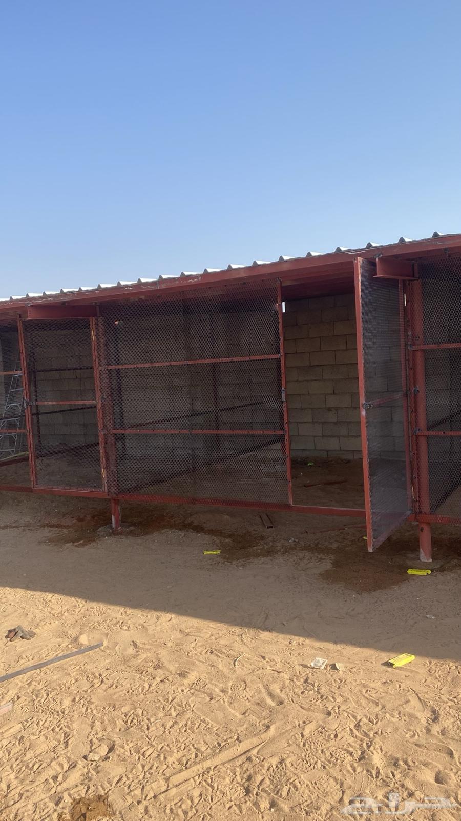 Blacksmith64327498616963114