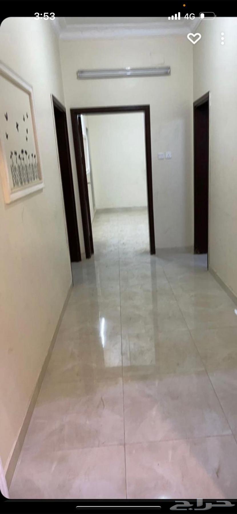 شقة للايجار الروابي64359966297985113