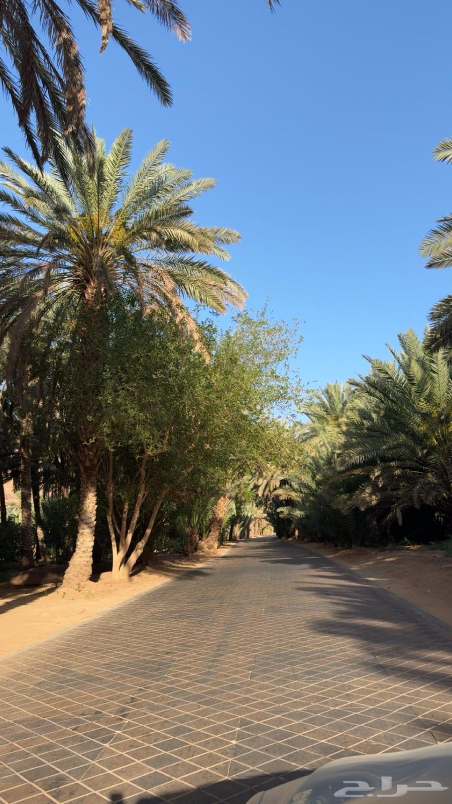 بالعلا حي العزيزيه64360024375683110