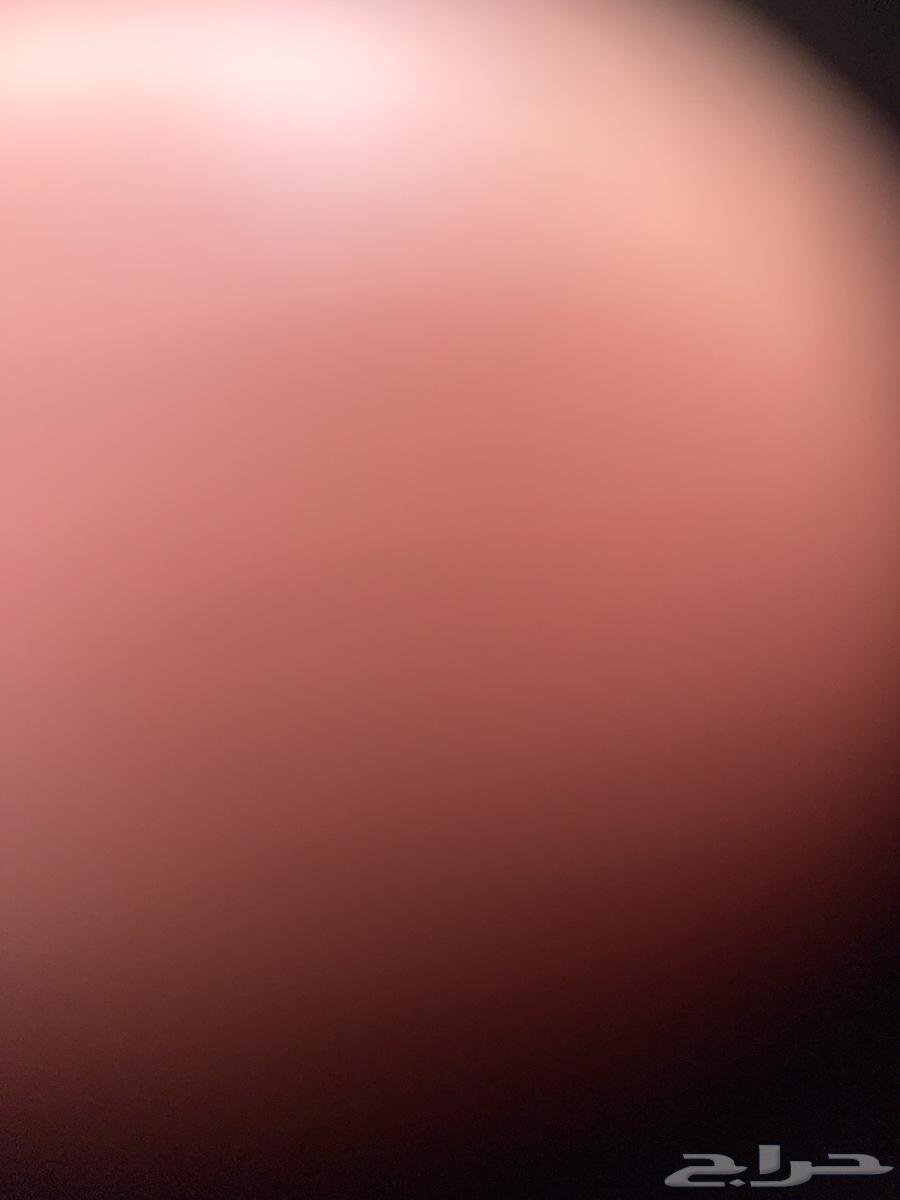 مطلوب شقة للبيع64338549691906110