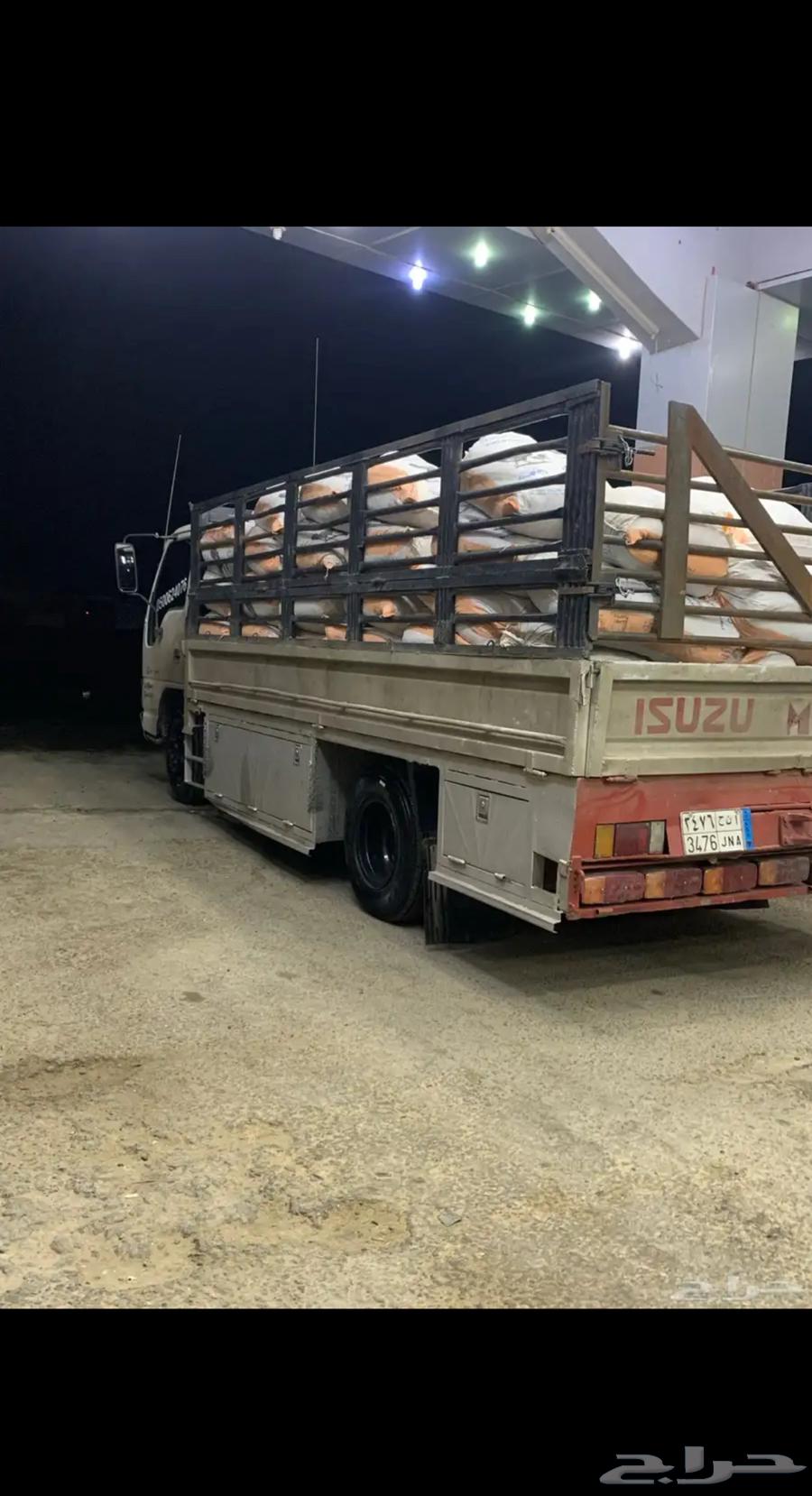 نقل دينا دينه جرش برمة الفروسية الرمال64338837858946110