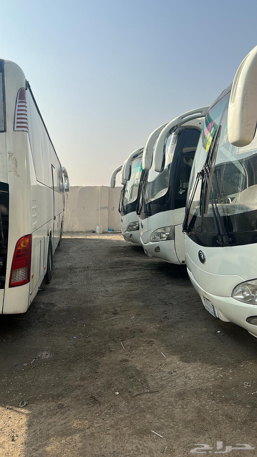 حافلات للإيجار الشهري والسنوي64354890121987111