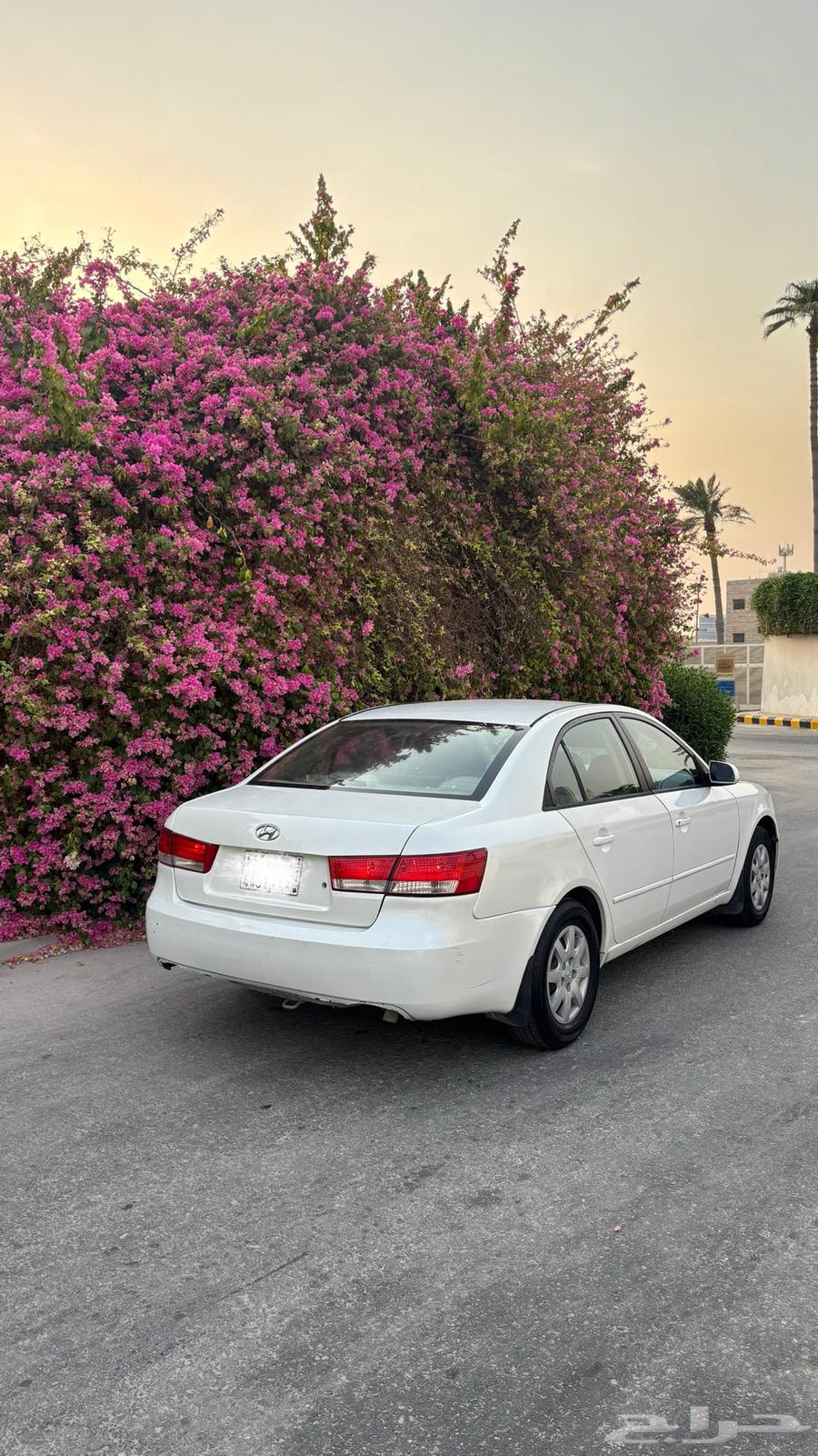 مندوب توصيل64350006882945110