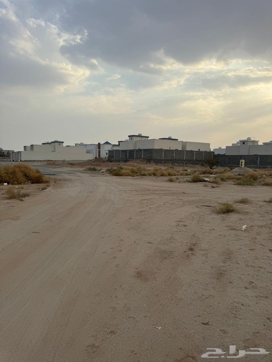 ارض حي السنبله للبيع64345794668673111