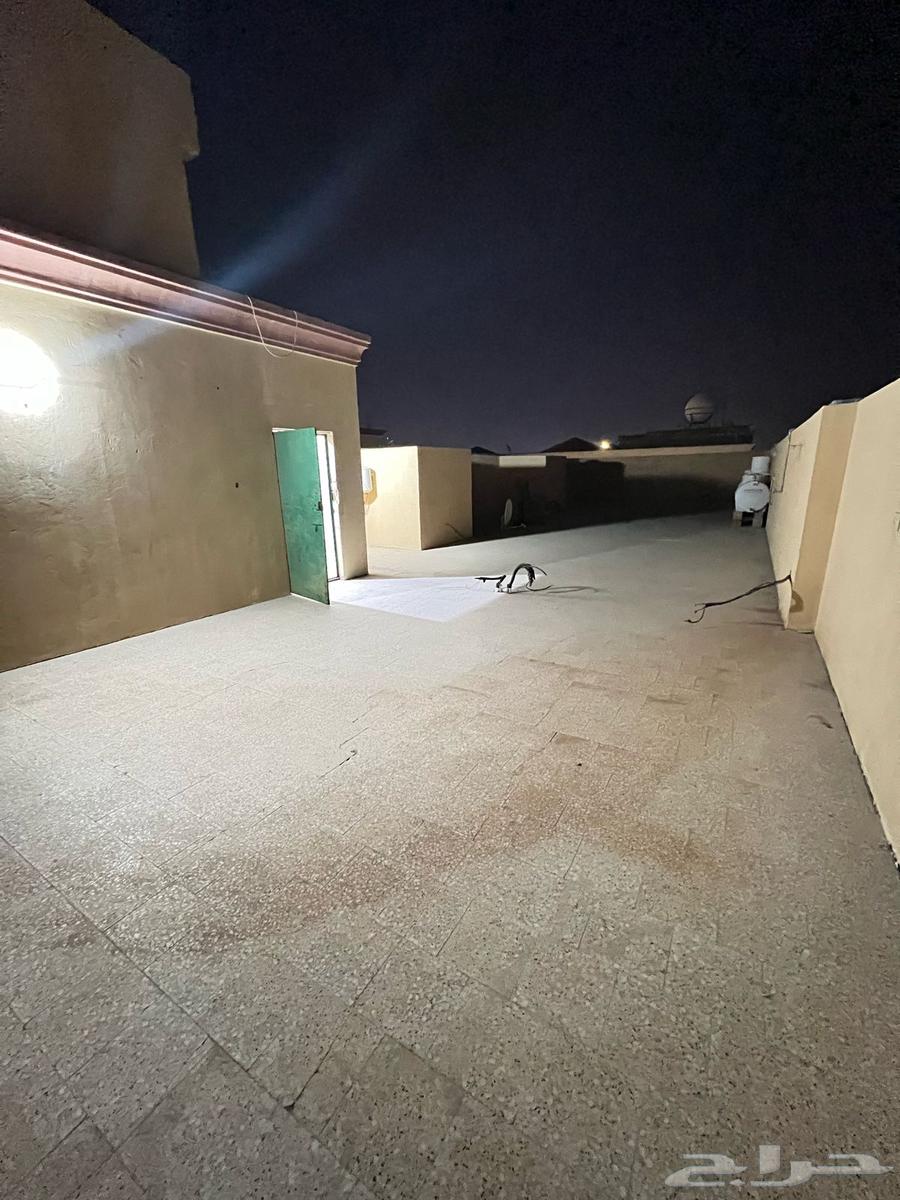 للإيجار شقة كبيرة مستقلة بالسلمانية الهفوف64354872573443113