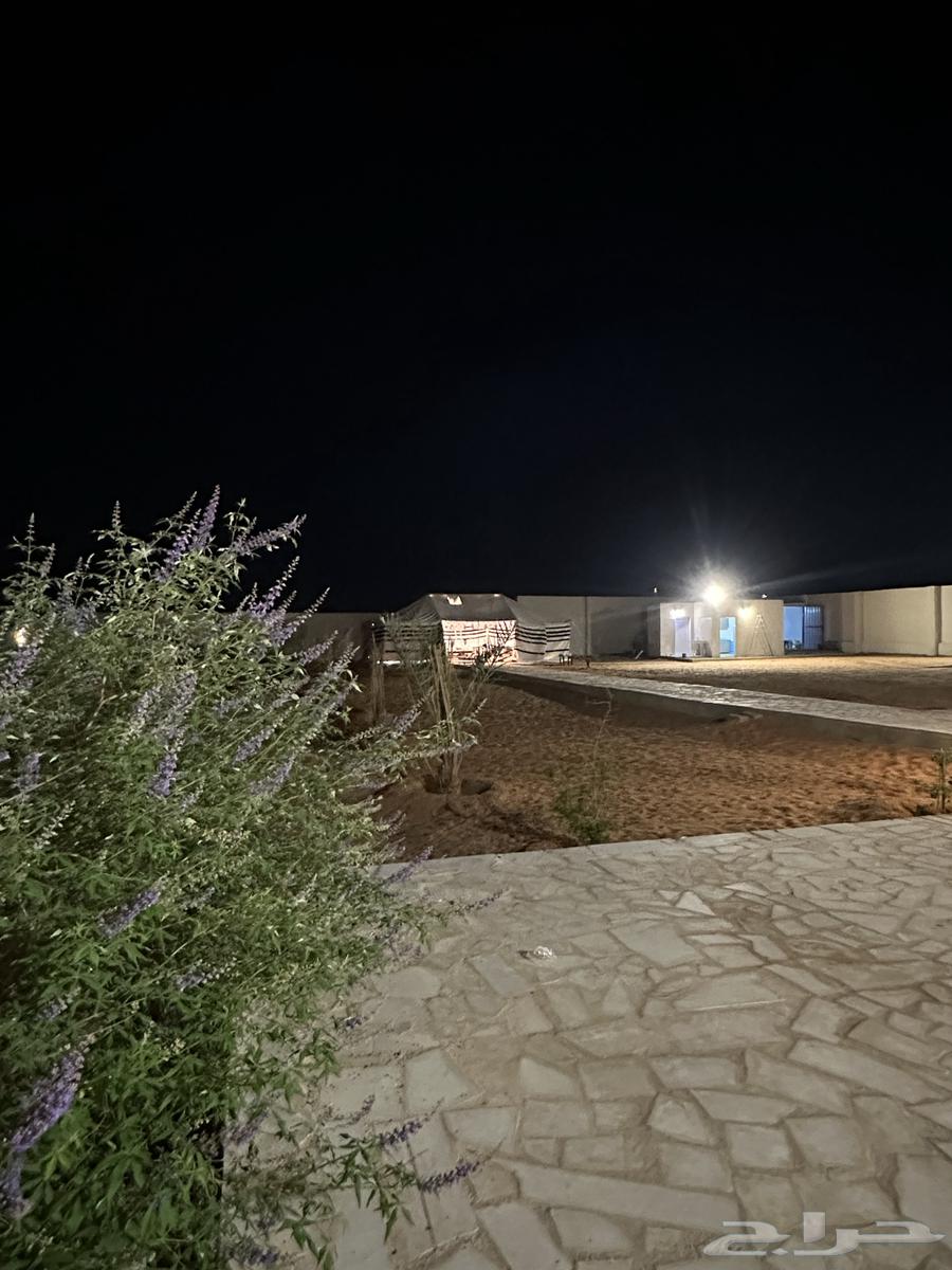 Camp for rent in Al Misha'al, Rest House64354889782019110