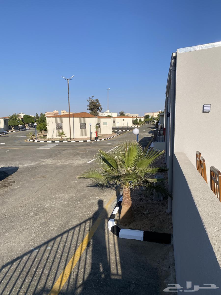 دهان باكستاني داخلي64354924999298111