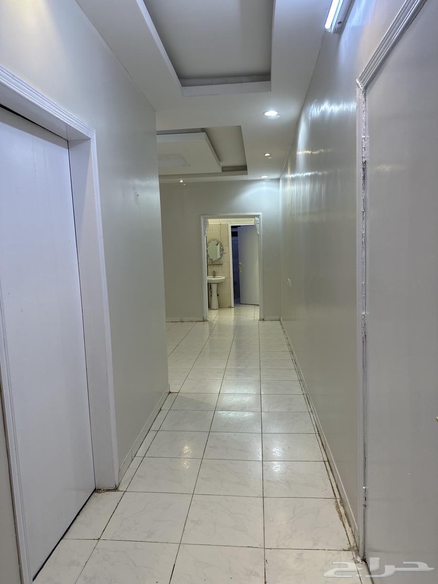 شقة للإيجار