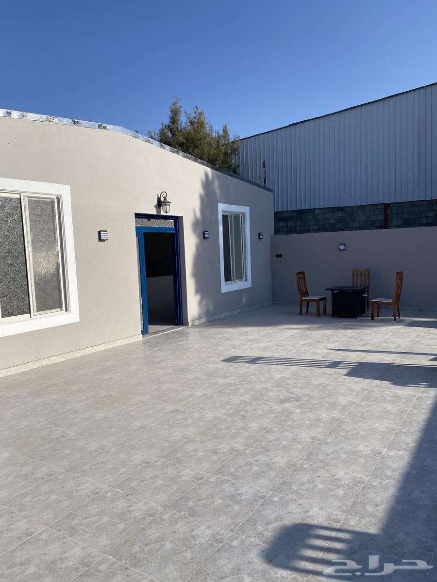 دهان باكستاني داخلي64354924999298110