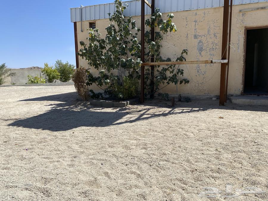 طلب موقع ارض كبيره للحلال في احد رفيده على المدى الطويل64349801278082110