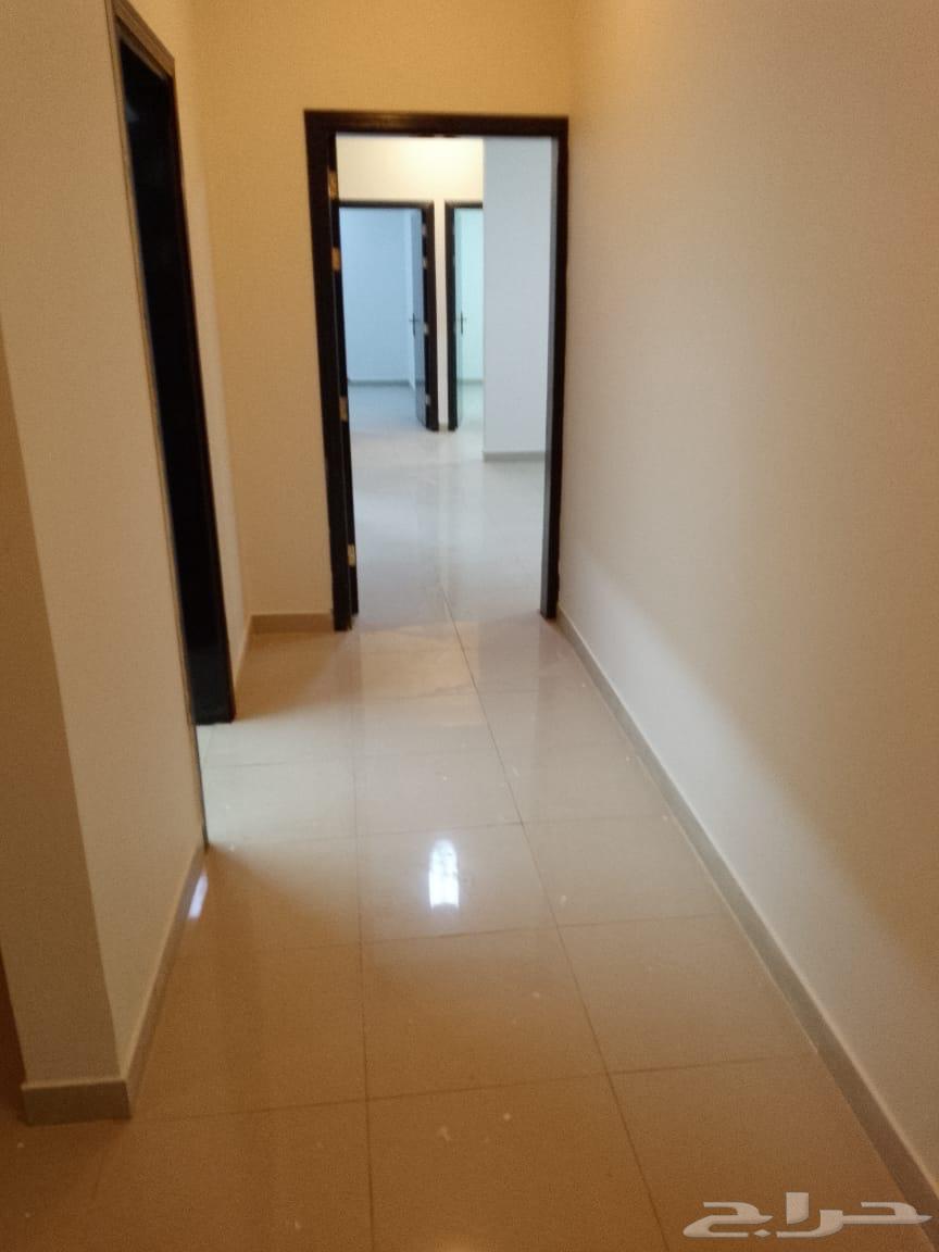 شقة للإيجار