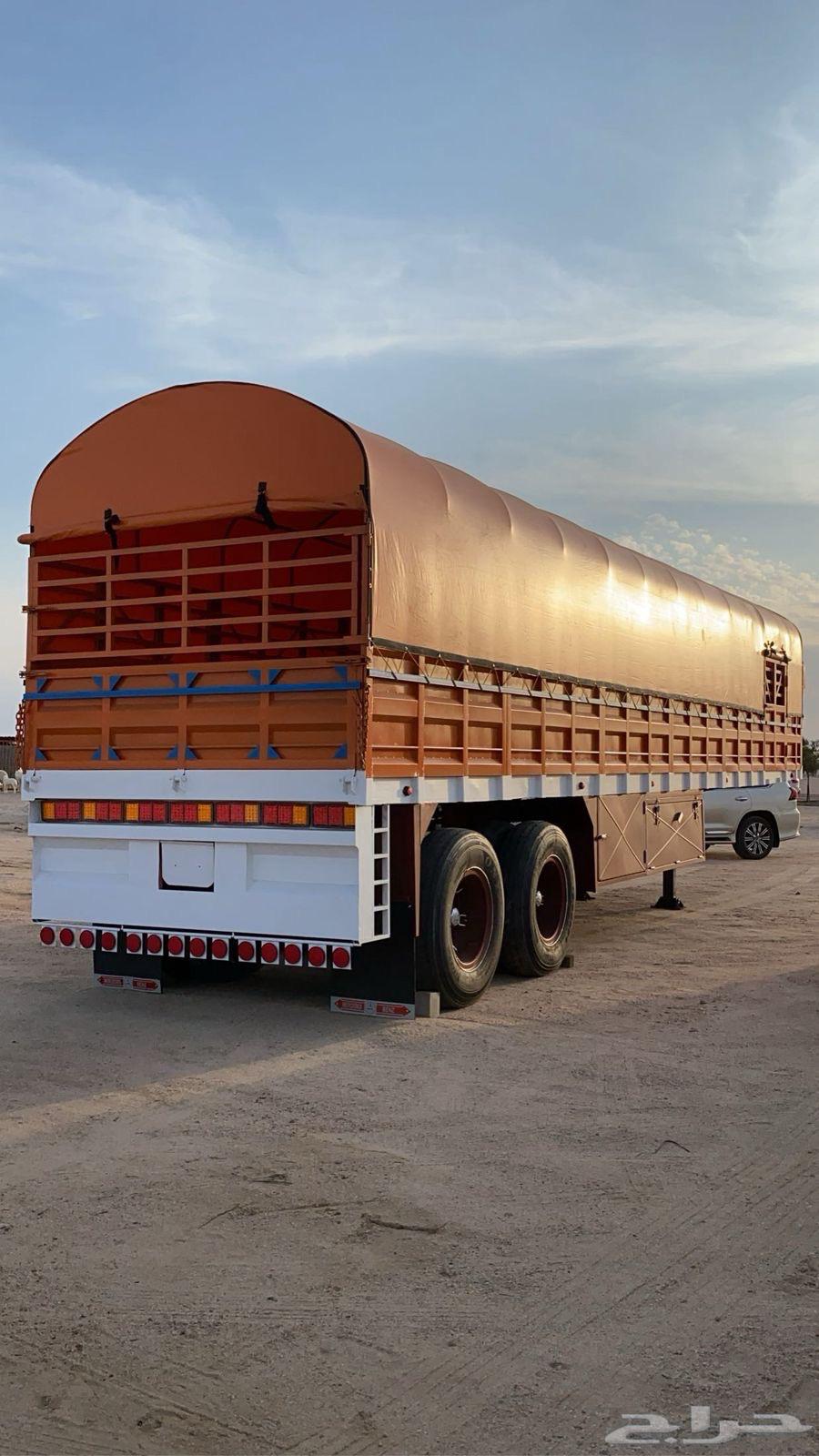 للبيع تيادر جوانب قواعد و لعبات واسعار مناسبة جدا64457541560195114