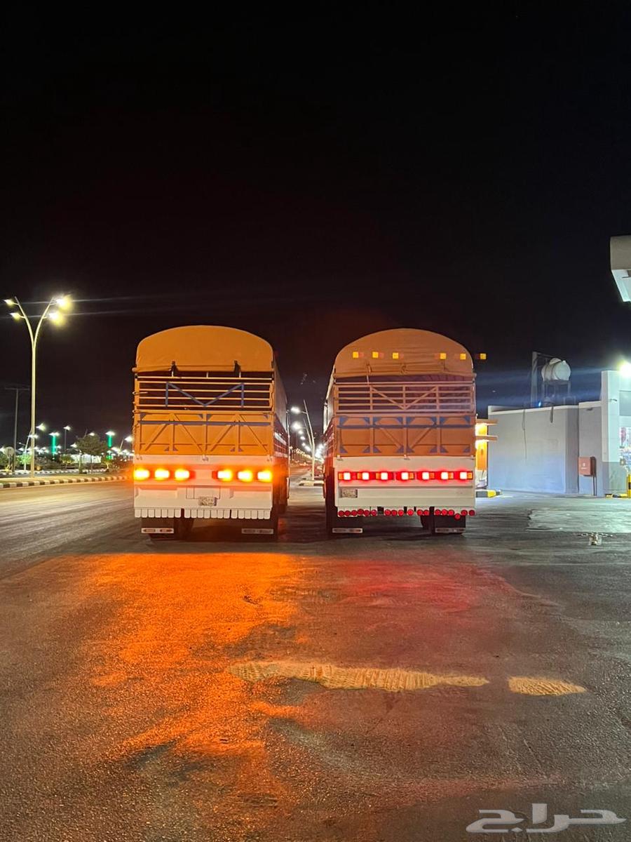 للبيع تيادر جوانب قواعد و لعبات واسعار مناسبة جدا64457541560195112