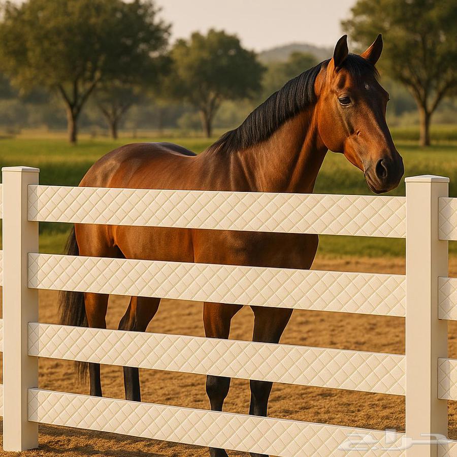 سور للمزارع والاستراحات والخيل64264868036226112