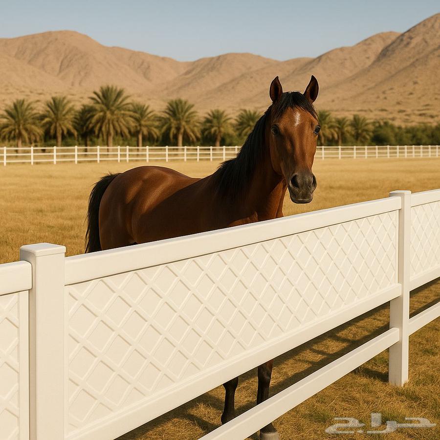 سور للمزارع والاستراحات والخيل64264868036226111