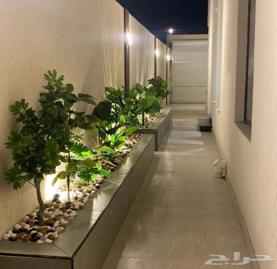 تنسيق حدائق القطيف64264869749249114