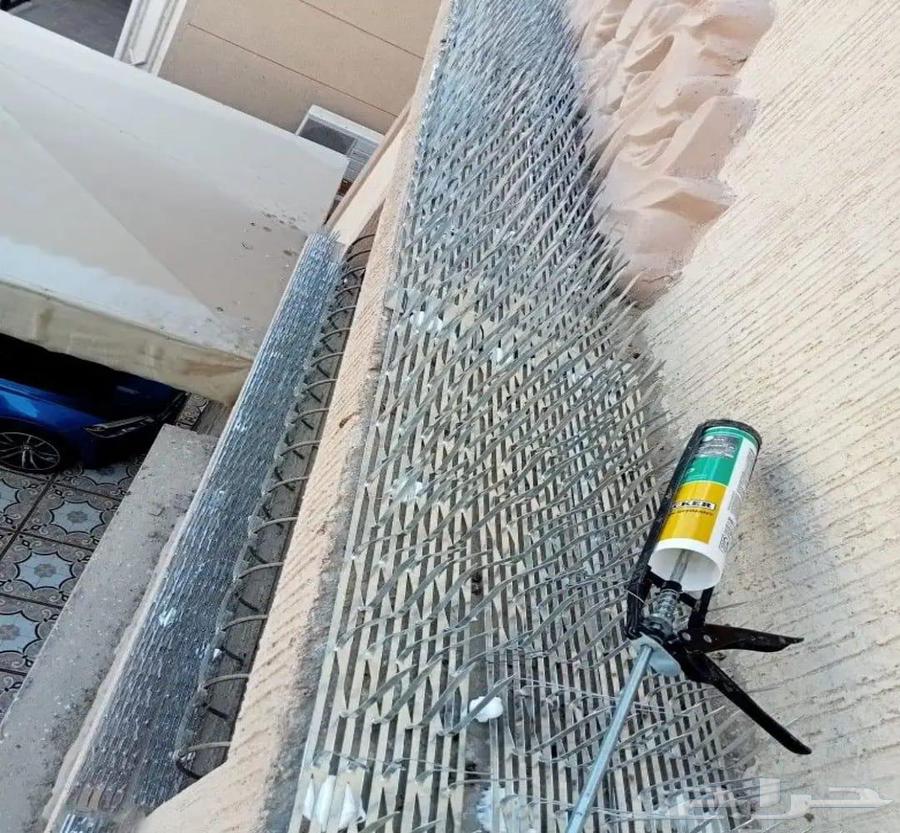 شركة تركيب طارد الحمام وشبك حمام بمكة64255129255043111