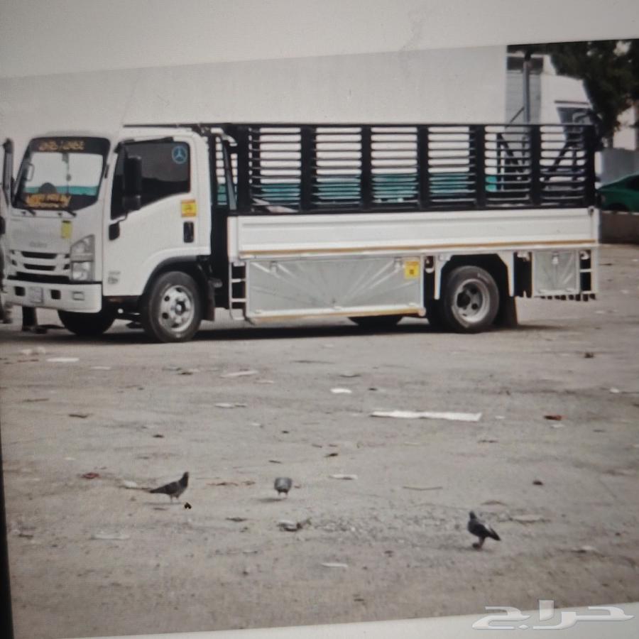 دينا نقل عفش داخل الرياض64263793521409110