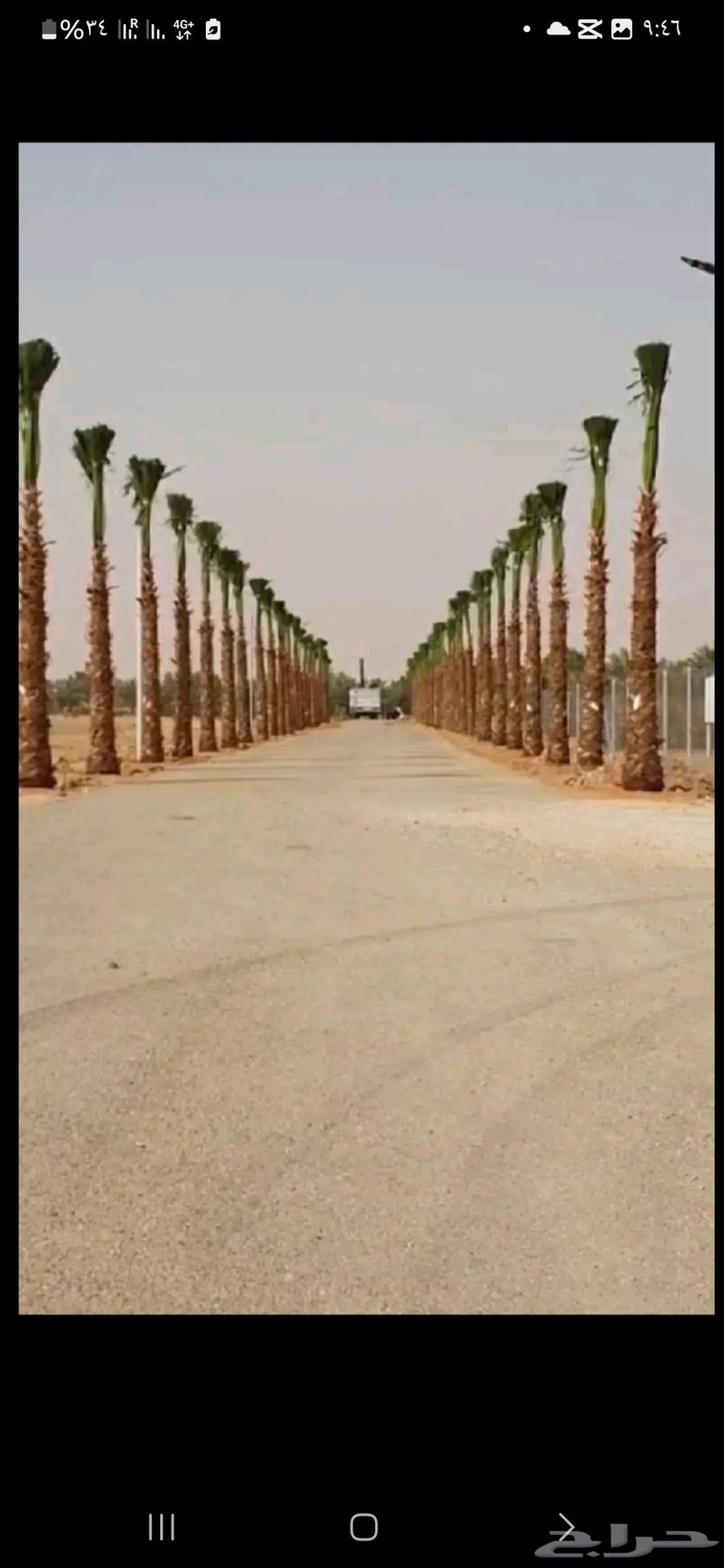 مقاول شبوك ونخيل64264522117890113