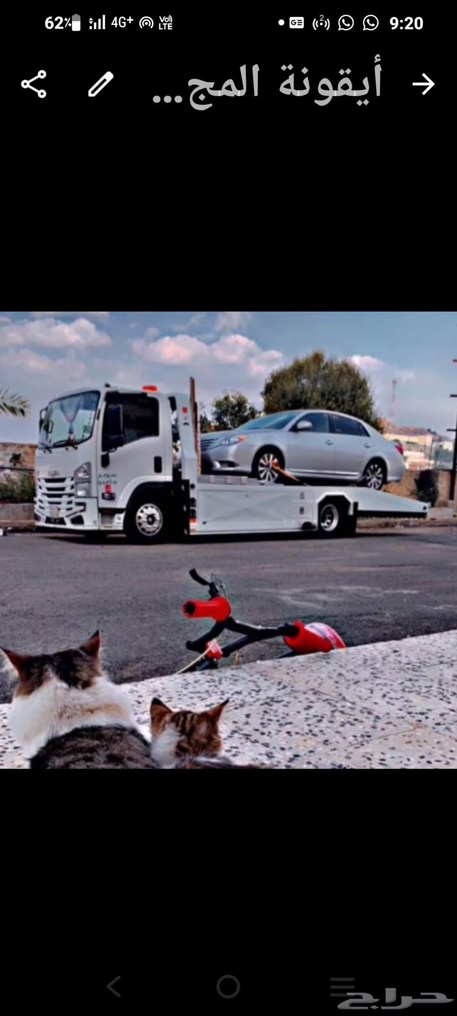 سطحة جده لنقل السيارات في عطلانه والمصدومه وتقدير الحوادث64260122851971111