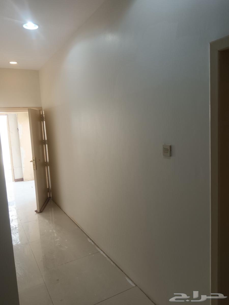 معلم دهان بويا64264525230082113