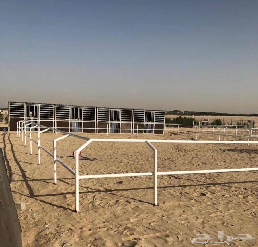 حداد مظلات وسواتر وبرجولات64264182950658112