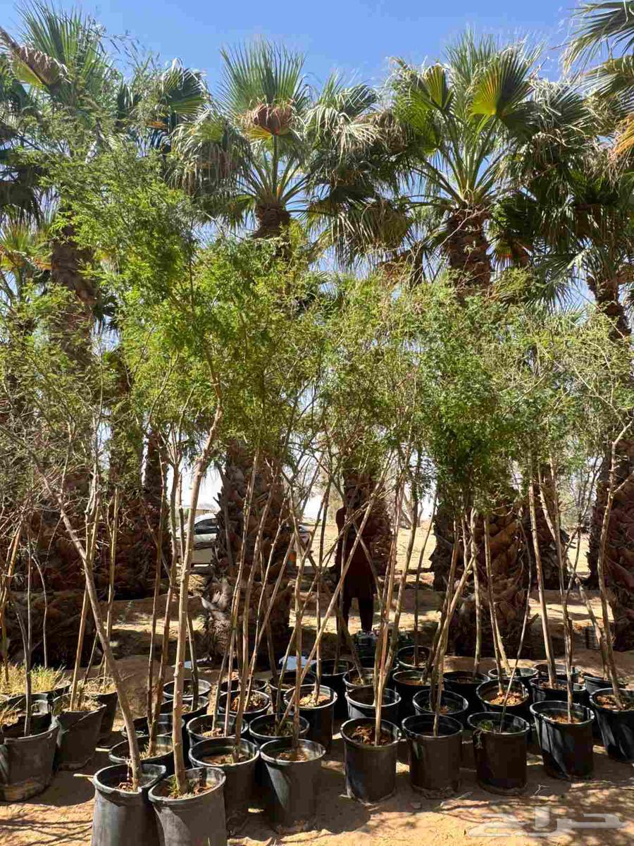 اسور معدنية شبك دعاية واعلان وشبنكو ومظلات ومستودعات الأعمال64263794678019114