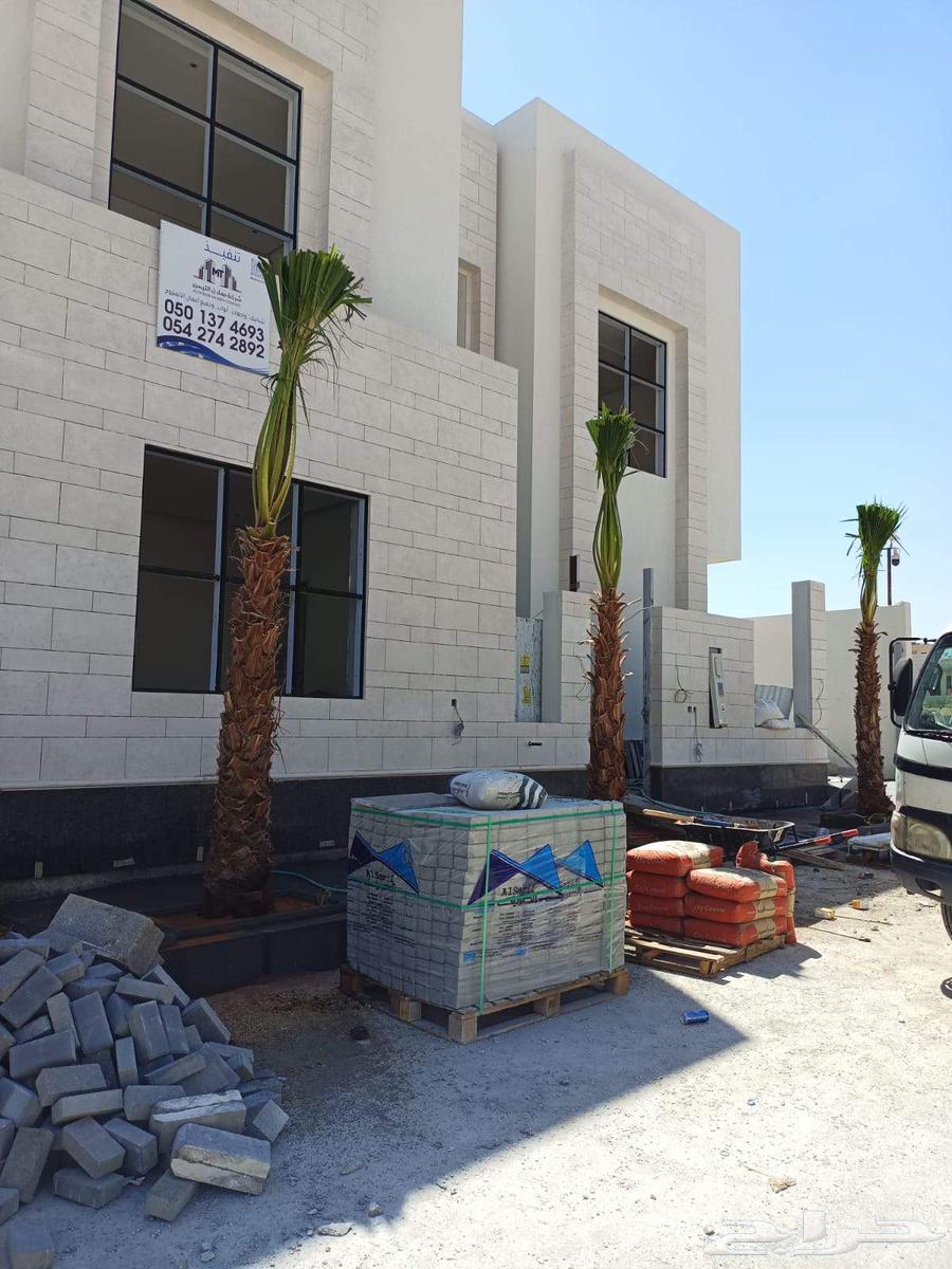 نخل واشنطني64263795307777110