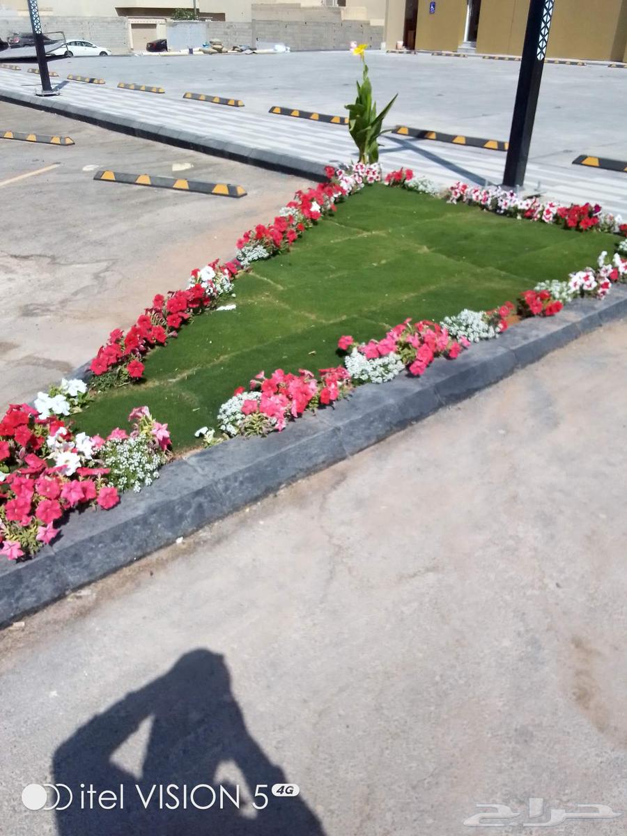 تنسيق حدائق بنواعها64264686679683111