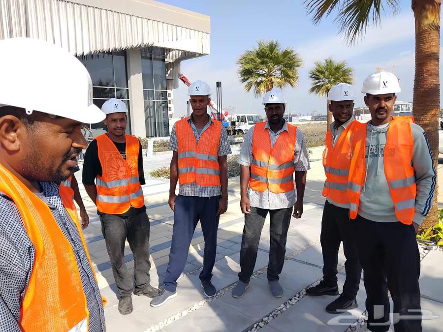 عمال تحميل وتنزيل وتكسيرونظافة يوميات64263983345283113