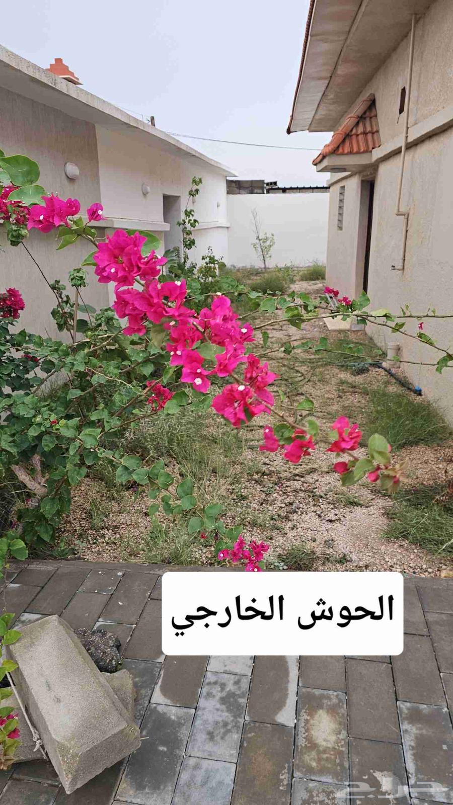 استراحه مع حوش موقع مميز لايجار الشهري والسنوي64264173797890112