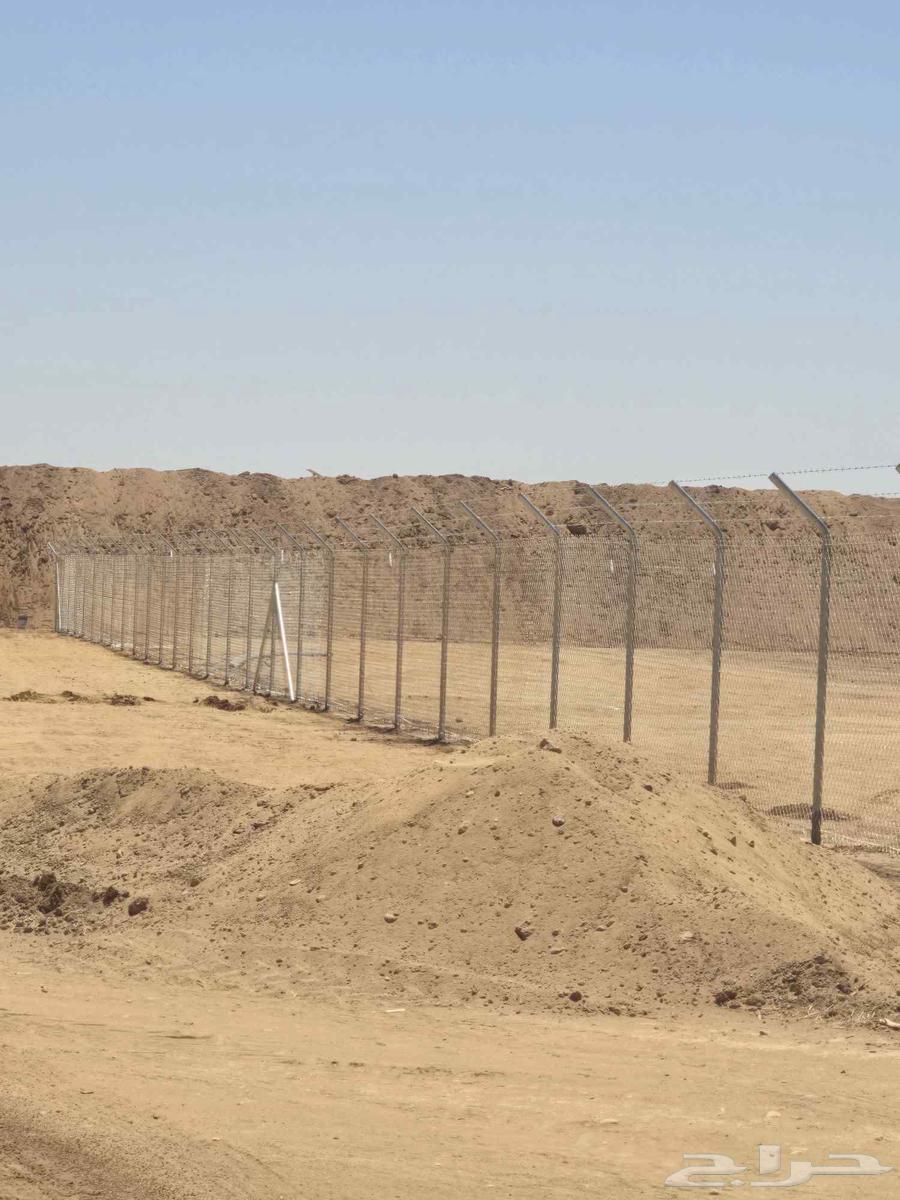 General Articles64260305835011114