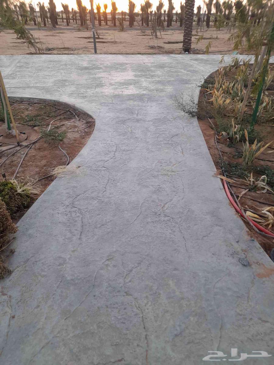 صبا مرو ا64264683690499112