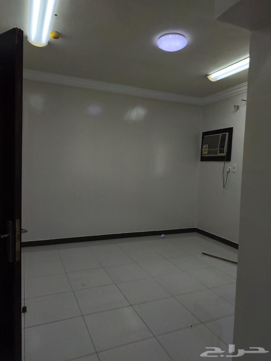 دهان داخلي عازل سطخ رويال فلفيت شغل بروبيشنل64263795107713114