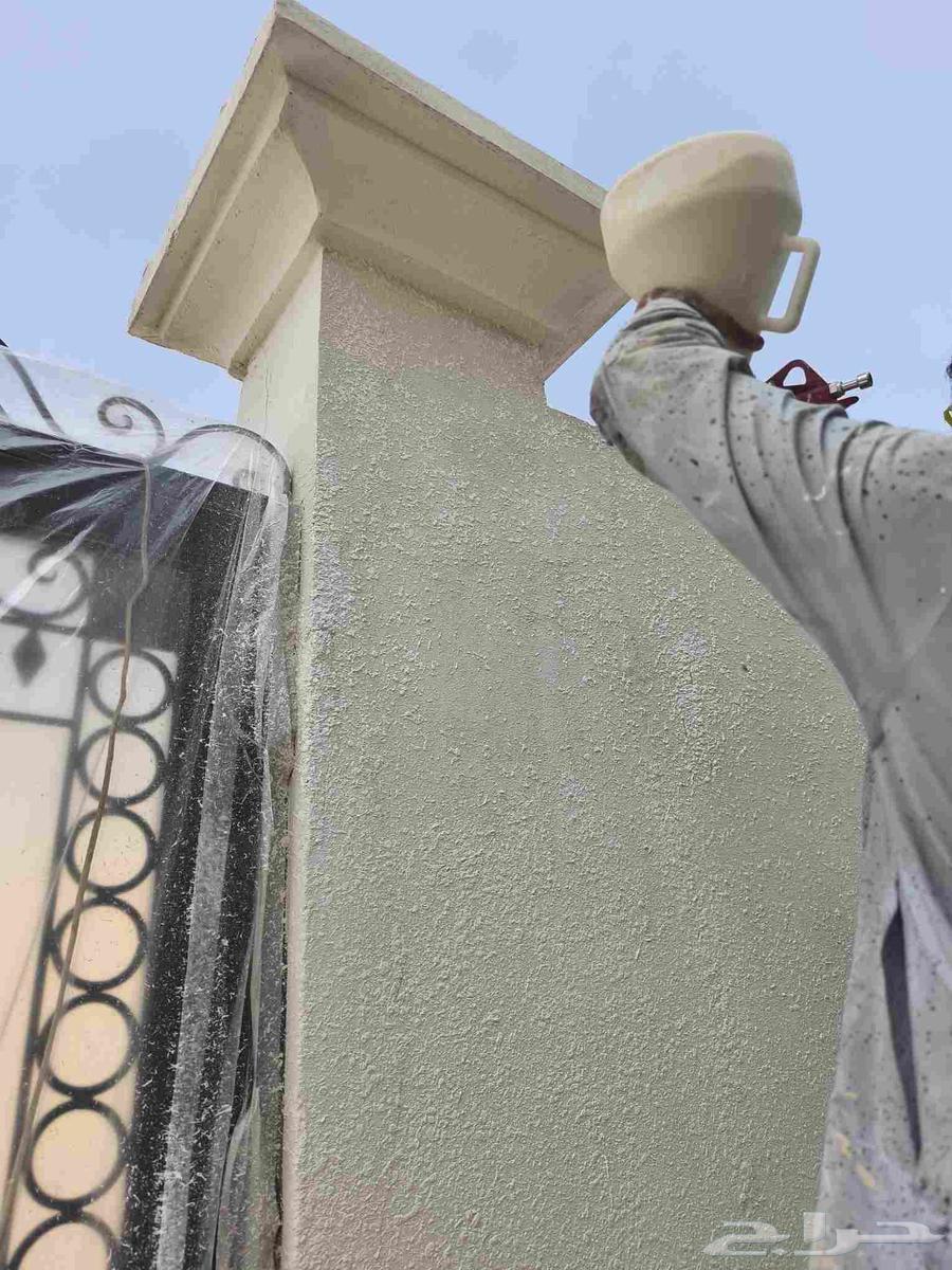 دهان داخلي عازل سطخ رويال فلفيت شغل بروبيشنل64263795107713110